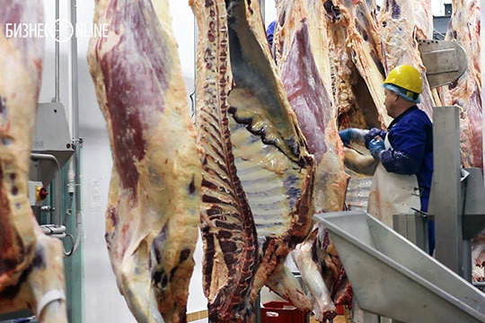 Бизнес на селе: мясной мрамор Татарстана