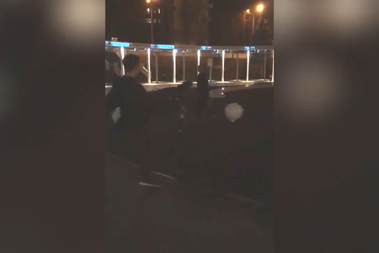 Полицейские задержали вандалов, разбивших фонари в парке «Черное озеро»