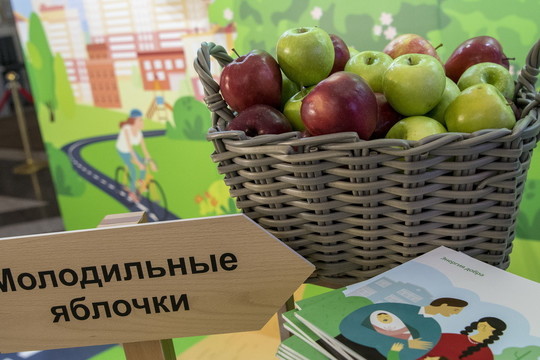 Как в Казани искали пути к активному долголетию