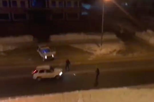 В Южно-Сахалинске полицейские попытались снежками остановить угонщика