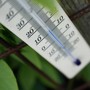 Роспотребнадзор предупредил об аномальной жаре в ряде российских регионов