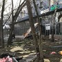 Ураган в Москве: сотни поваленных деревьев, закрытые парки, 12 пострадавших и двое погибших