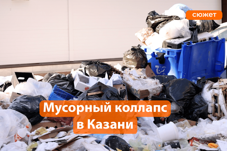 Казань превращается в свалку? Почему в городе перестали вывозить отходы