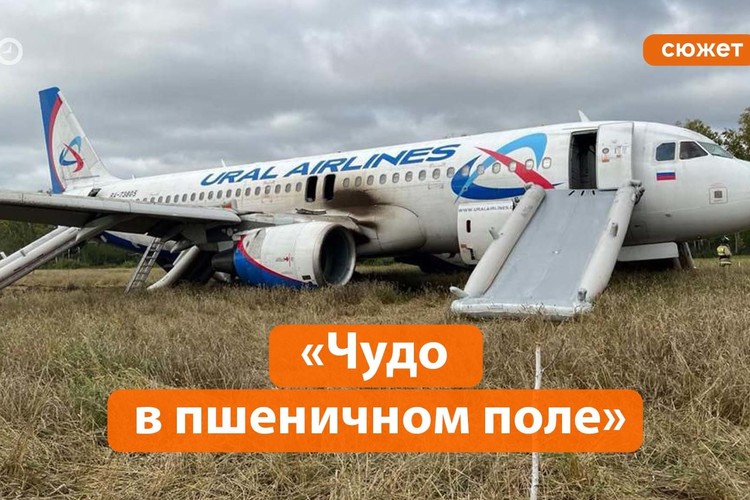 Почему Airbus 320 экстренно сел в поле в Новосибирской области?