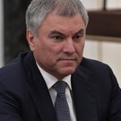 Володин отреагировал на массовые отравления в российских школах