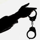 Басманный суд Москвы заочно арестовал Певчих*, Низовцева*, Ярмыш* и Бирюкову**