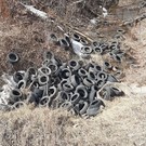 В Нижнекамске обнаружили свалку из 200 резиновых покрышек