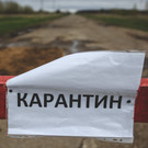 В Татарстане вспышка птичьего гриппа – Минниханов ввел карантин в радиусе 55 километров
