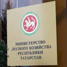 В Татарстане решили увеличить до 500 тысяч единовременную выплату молодым специалистам, устроившимся в минлесхоз РТ