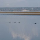 Сброс воды из Куйбышевского водохранилища увеличат до 6,3 тысячи кубометров в секунду