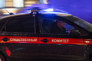 Бастрыкин: число особо тяжких преступлений, совершенных подростками-мигрантами, выросло более чем вдвое