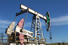 Путин запретил господдержку нефтяников, сделав исключение для Сечина
