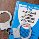 В отношении бизнес-коуча Портнягина возбудили дело о неуплате налогов – он признал существование долга на 64 миллиона рублей