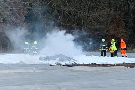 Совладелица S7 погибла в авиакатастрофе в Германии