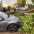 В МЧС Татарстана показали последствия штормового ветра