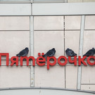 В петербургских «Пятерочках» перестанут продавать алкоголь