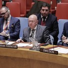 Небензя: украинское контрнаступление закончено