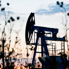 «Ъ»: Индия отказалась от премиальной российской нефти