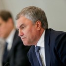 Володин назвал Украину американской колонией: «Янки, вон с Украины!»