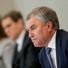 Володин предложил со школы готовить мальчиков к семейной жизни
