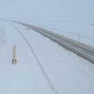 Из-за плохой видимости скорость движения по М12 в Татарстане ограничили до 70 км/ч