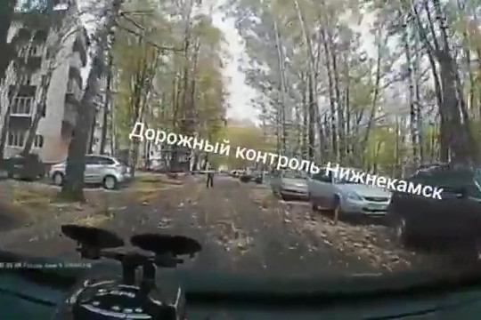 Момент падения дерева на пенсионера в Нижнекамске
