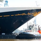 В Японии из-за поломки круизного лайнера застряли почти 600 россиян