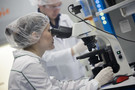 Российскую вакцину от COVID-19 испытали на людях: она действует
