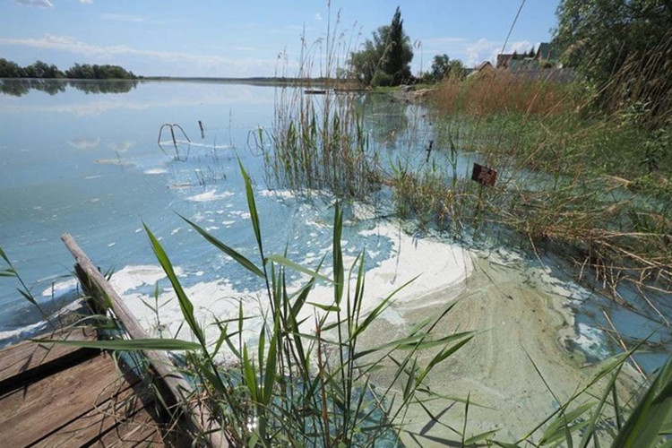 «Это грозит экологическим бедствием»: Казанка, Кабан и другие водоемы «расцвели» раньше срока