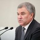 Володин призвал конфисковать активы бизнеса из недружественных стран