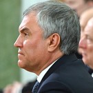 Володин предложил обсудить необходимые меры по защите детей от курения вейпов