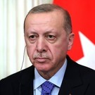 Эрдоган объявил о продлении зерновой сделки еще на два месяца