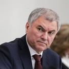 Володин назвал английский мертвым языком 
