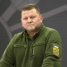 В Раде заявили, что Зеленский обеспокоен политическими заявлениями Залужного