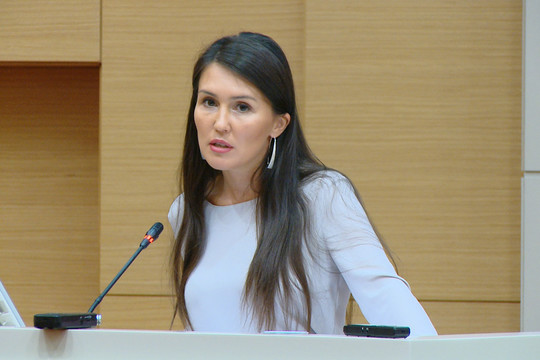 Казанский Кремль прокомментировал просьбу перевозчиков поднять плату за проезд