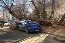 В Татарстане бушует сильный ветер. Ранее он сносил крыши и столбы в Ярославской области