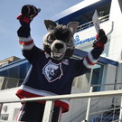 Лучший бомбардир ФНЛ перейдет из «Нефтехимика» в «Урал»