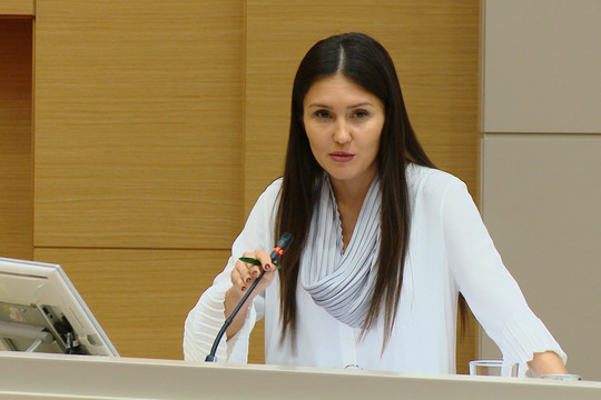 Казанский Кремль оценил реалистичность вывода самозанятых из тени