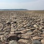 После обмеления Волги под Казанью нашли древнюю мостовую – к ней стягиваются горожане с металлоискателями 