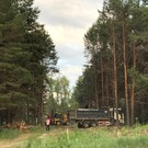  Для жителей поселка Вознесение, оставшихся без заездов на Вознесенский тракт, построят дорогу до новой школы в ЖК «Весна»