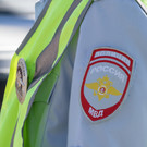 На Оренбургском тракте в Казани сбили лося 