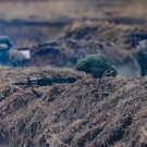 Newsweek: Украинское контрнаступление запланировано на 30 апреля