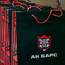 «Ак Барс» будет судиться с петербургской фирмой из-за логотипа клуба