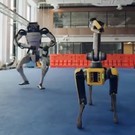 ​Роботы Boston Dynamics станцевали под татарскую плясовую