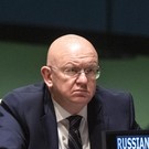 Постпред РФ в ООН: на Украине орудуют «боевые комары»