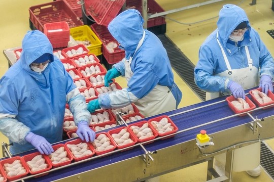 «Челны-Бройлер» планирует в 2019 году начать поставки халяльной продукции в страны Юго-Восточной Азии