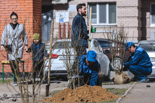 Когда деревья будут большими