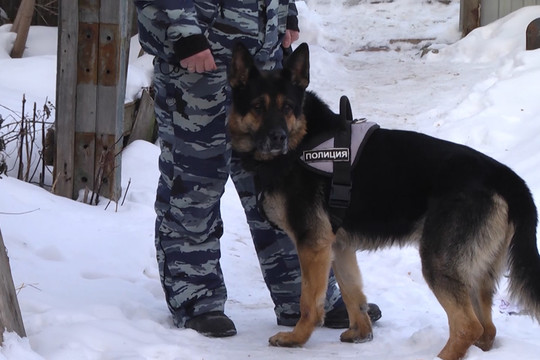 В Казани орудовала банда похитителей людей
