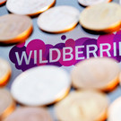 ФАС согласовала передачу компаний группы Russ в объединенную с Wildberries РВБ 