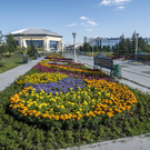На цветочное оформление и озеленение Казани направили 31 миллион рублей